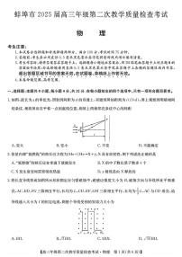 安徽省蚌埠市2025届高三下学期3月第二次教学质量-物理试题+答案