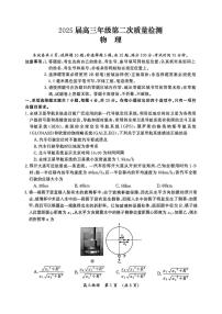 河南高三下学期市2025届高高三下学期3月第二次质量检测-物理试题无答案