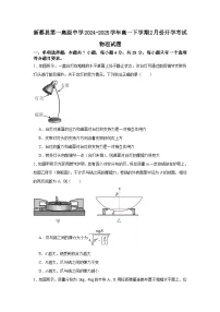 河南省驻马店市新蔡县第一高级中学2024-2025学年高一下学期开学物理试题（含答案）