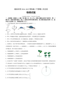 湖北省荆州中学2024-2025学年高一下学期2月月考物理试卷（含答案）