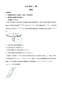 湖南省常德市桃源县一中2025届高三下学期一模物理试卷（Word版附解析）