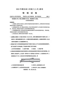 2025届湖北省八市高三下学期3月联考（二模）物理试题