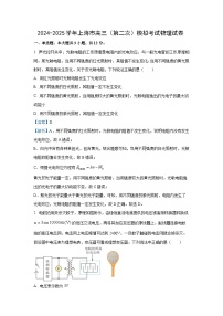 上海市2024-2025学年高三下学期（第二次）模拟考试物理试题（解析版）
