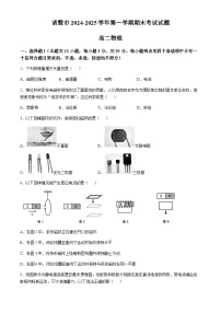 浙江省绍兴市诸暨市2024-2025学年高二上学期期末考试物理试题（含答案）
