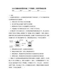 2025届湖南省邵阳市高三下学期第二次联考物理试卷（无答案解析）