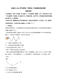 2025届上海市杨浦区高三上学期模拟质量调研（一模）考试物理试题（解析版）