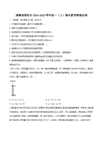 湖南省邵阳市2024-2025学年高一（上）期末联考物理试卷-普通用卷