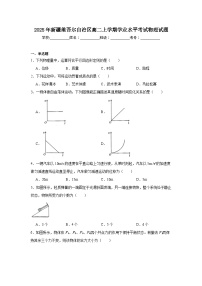 2025年新疆维吾尔自治区高二上学期学业水平考试物理试题（附答案解析）