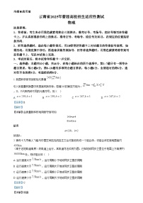 2025年1月云南省普通高等学校招生考试适应性测试（八省联考）物理试题（Word版附解析）
