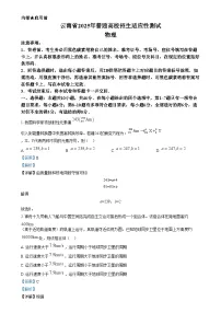2025年1月云南省普通高等学校招生考试适应性测试（八省联考）物理试题（Word版附解析）