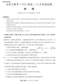 河南省金科新未来大联考2024-2025学年高三上学期11月物理试卷及参考答案