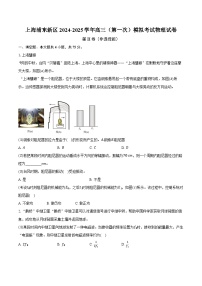 上海浦东新区2024-2025学年高三（第一次）模拟考试物理试卷【含解析】