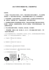2024届广东省深圳市高二下学期期末考试 物理试题（含答案）