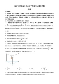 2025届山东省临沂市高三下学期一模考试物理试题（原卷版+解析版）