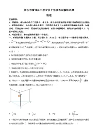2025届山东省临沂市高三下学期一模考试物理试题（原卷版+解析版）