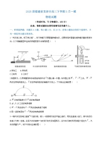 福建省龙岩市2025届高三下学期3月一模试题 物理 含答案