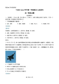 浙江省宁波市九校联考2024-2025学年高一上学期期末物理试卷（Word版附解析）