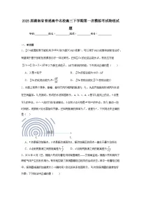 2025届湖南省普通高中名校高三下学期第一次模拟考试物理试题（附答案解析）