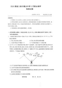 2025年T8高三下学期3月物理试题及答案