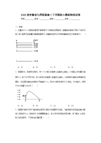 2025届安徽省九师联盟高三下学期核心模拟物理试卷（无答案）