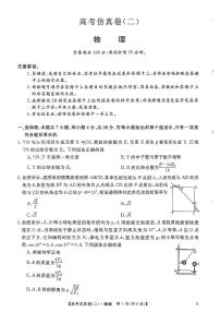 2025年普通高中学业水平选择性考试高考模拟仿真卷（二）-物理试题+答案