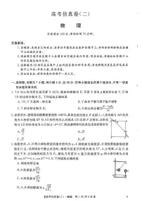 2025年普通高中学业水平选择性考试高考模拟仿真卷（二）-物理试题+答案