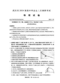 2024届湖北省武汉市高中毕业生调研考试（3月）-物理试题（含答案）