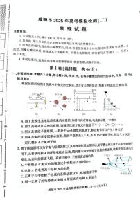 陕西省咸阳市2025届高三下学期3月二模物理试卷（PDF版附答案）