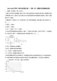 2024-2025学年上海市奉贤区高三（第一次）模拟考试物理试卷(含详细答案解析)