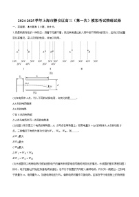 2024-2025学年上海市静安区高三（第一次）模拟考试物理试卷(含详细答案解析)