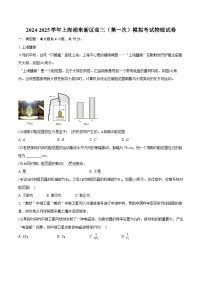 2024-2025学年上海浦东新区高三（第一次）模拟考试物理试卷(含详细答案解析)