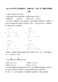 2024-2025学年江苏省南京市、盐城市高三（第一次）模拟考试物理试卷(含详细答案解析)