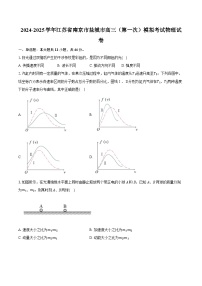 2024-2025学年江苏省南京市盐城市高三（第一次）模拟考试物理试卷(含详细答案解析)