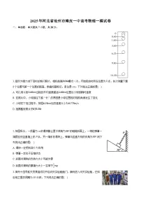 2025年河北省沧州市南皮一中高考物理一模试卷(含详细答案解析)