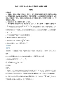 2025届山东省临沂市高三下学期一模考试物理试题 含解析