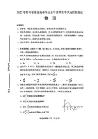 2025届贵州高三下学期学业水平选择性考试（4月）适应性测试物理试题+答案