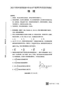 2025年贵州省高三下学期高考适应性考试 物理试题