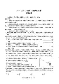 2025届山东部分学校高三下学期4月模考物理试题（含答案）