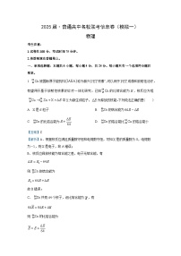 2025届湖南省普通高中名校高三下学期第一次高考模拟考试物理试卷（解析版）
