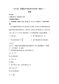 2025届湖南省普通高中名校高三下学期第一次高考模拟考试物理试卷（解析版）