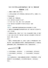 2025届山东省济南市高三下学期高考一模物理试卷（解析版）
