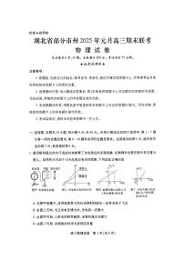 湖北省部分市州2025年元月高三期末联考 物理试卷（含答案）