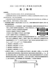 山东省潍坊市2024-2025学年高三上学期1月期末 物理试卷（含答案）
