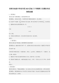 2025届广东省深圳高级中学高三下学期第三次模拟测试物理试题（含答案）