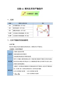 2025年高考物理第二轮专项复习(全国通用)实验12探究杠杆的平衡条件专题特训(学生版+解析)