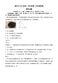 2024届福建省漳州市高三下学期毕业班第三次质量检测物理试题（解析版）