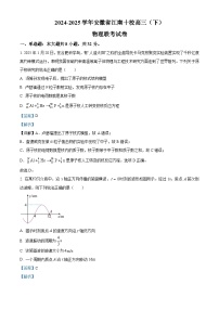 安徽省江南十校2025届高三下学期第一次联考试题（一模） 物理 含解析