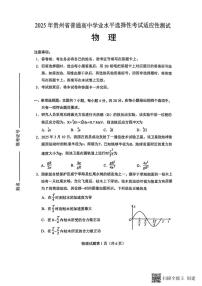 物理丨贵州省2025届高三下学期4月学业水平选择性考试适应性测试物理试卷及答案