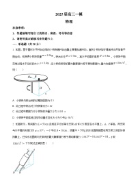 2025届湖南省常德市桃源县第一中学高三下学期一模物理试题（原卷版+解析版）