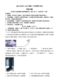 2025届四川省眉山市高三上学期一诊考试物理试题（原卷版+解析版）